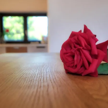 Pocitniska Hisa Miklavcic Primorska *