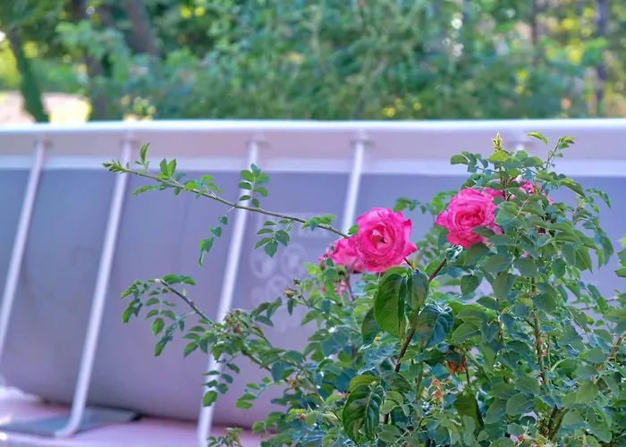 Casa vacanze Pocitniska Hisa Miklavcic Primorska Divača