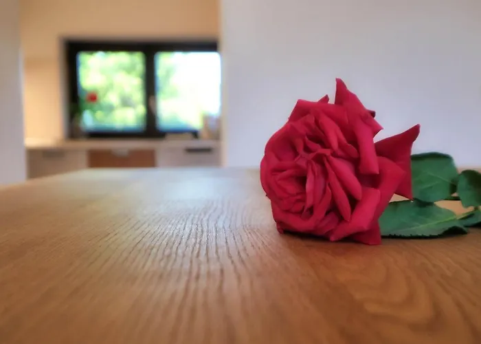 Pocitniska Hisa Miklavcic Primorska *